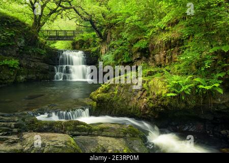 Chutes de Sgydau Sychryd dans le parc national de Bannau Brycheiniog (Brecon Beacons) près de Pontneddfechan, Powys, pays de Galles. Banque D'Images