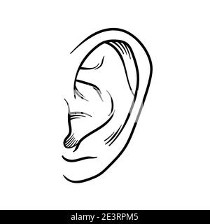 Symbole d'esquisse d'oreille dessiné à la main. Elément d'écoute vectoriel en style doodle, isolé sur blanc Illustration de Vecteur