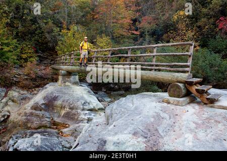 NC00281-00...CAROLINE DU NORD - randonnée traversant la rivière Linville sur le pont Au fond de Spence Ridge Trail, dans la Linville Gorge Wilderness - Pisga Banque D'Images