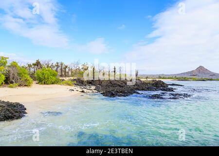 Plage de sable et rivage avec des roches volcaniques sombres typiques à Dragon Hill, l'île de Santa Cruz, les îles Galapagos, l'Équateur, l'Amérique du Sud Banque D'Images