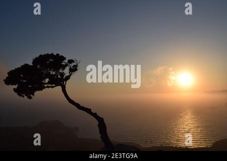 Arbre sur beau coucher de soleil, Rhodes, Grèce Banque D'Images