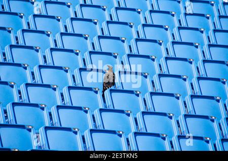 Sitze, Stadion Banque D'Images