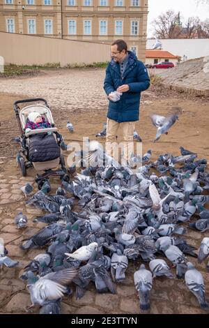 Homme avec bébé nourrissant de nombreux pigeons avec du pain dans la vieille ville de Prague. Nourrir les oiseaux affamés Banque D'Images