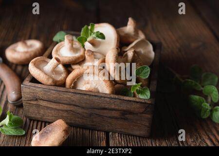 Tas d'immunité stimulant les champignons Shiitake frais dans un bol sur fond de bois rustique Banque D'Images