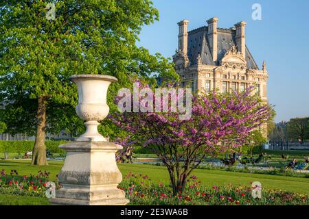 Vue printanière dans le jardin des Tuileries avec le musée du Louvre au-delà, Paris, Ile-de-France, France Banque D'Images