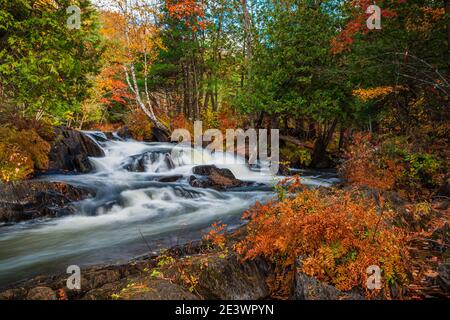 Magnifique zone de conservation des chutes Cordova Belmont Methuen Havelock Ontario Canada en automne Banque D'Images