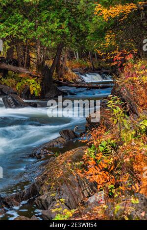 Magnifique zone de conservation des chutes Cordova Belmont Methuen Havelock Ontario Canada en automne Banque D'Images