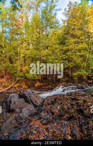 Magnifique zone de conservation des chutes Cordova Belmont Methuen Havelock Ontario Canada en automne Banque D'Images