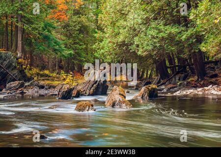 Magnifique zone de conservation des chutes Cordova Belmont Methuen Havelock Ontario Canada en automne Banque D'Images