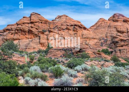 Vue sur la nature dans le parc national de Snow Canyon, Utah Banque D'Images