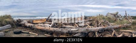 Driftwood a balayé sur la plage de l'Oregon après la marée du roi Banque D'Images