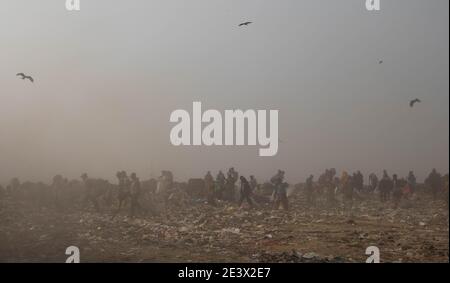 Neu Delhi, Inde. 18 janvier 2021. Les ramasseurs de chiffons recherchent des matières recyclables dans les ordures de la décharge de Bhalswa. Credit: Vijay Pandey/dpa/Alay Live News Banque D'Images