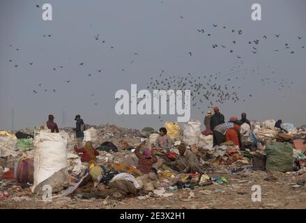 Neu Delhi, Inde. 18 janvier 2021. Les ramasseurs de chiffons recherchent des matières recyclables dans les ordures de la décharge de Bhalswa. Credit: Vijay Pandey/dpa/Alay Live News Banque D'Images