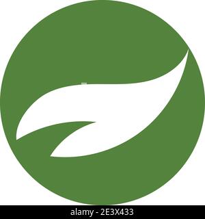 vecteur de logo feuille vert Illustration de Vecteur