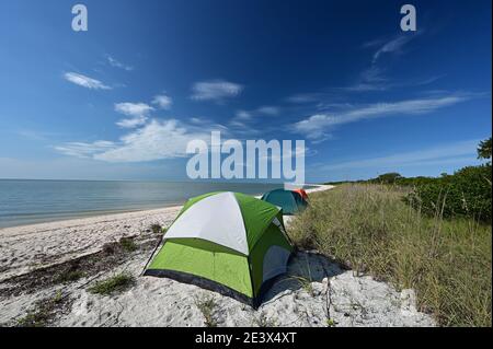 Campement de tentes sur Middle Cape sable dans le parc national des Everglades, en Floride, en hiver. Banque D'Images