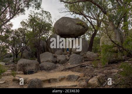 Parc national de Girraween Banque D'Images