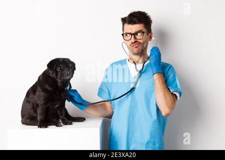 Confus médecin vétérinaire de contrôle chien avec stéthoscope, semble perplexe, debout sur fond blanc Banque D'Images