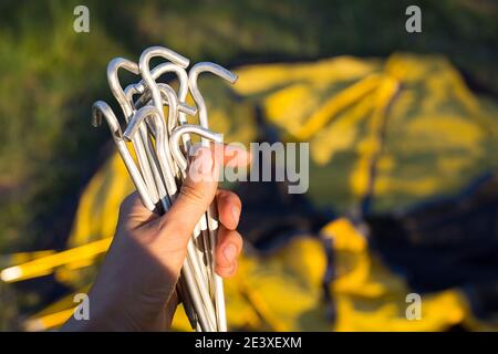 Piquets en aluminium pour l'installation d'une tente jaune touristique à la main. Équipement léger pour le tourisme. Activités de plein air, assemblage dans Banque D'Images