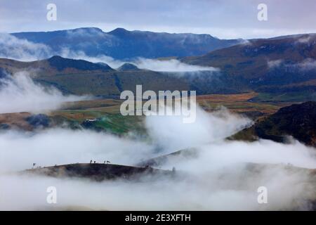 Collines vertes avec brouillard paysage avec pluie. Colline de forêt avec de grands beaux arbres à Los Nevados NP, Colombie. Observation des oiseaux en montagne en Amérique du Sud. Banque D'Images