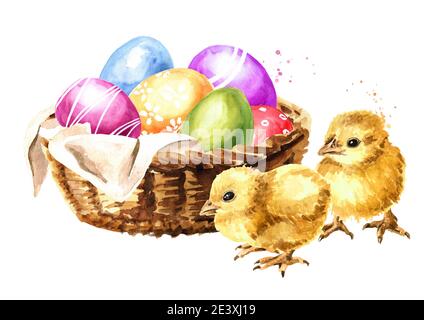 Panier avec œufs de Pâques colorés et poussins jaunes. Illustration aquarelle dessinée à la main, isolée sur fond blanc Banque D'Images