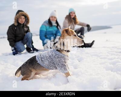 la famille marche le petit chien en vêtements de laine dans le neige en hiver Banque D'Images