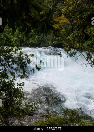 Chute d'eau ou cascade de La Leona, dans Huilo Huilo, Réserve Biologique de Panguipulli, Andes, dans le sud du Chili.