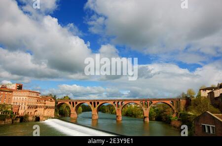 Vue sur Albi (France) et le Tarn avec son pont depuis le palais de l'évêque. Banque D'Images