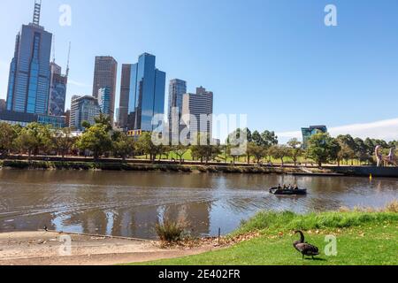 Les bâtiments modernes sur les rives de la rivière Yarra, Melbourne, Victoria, Australie. Banque D'Images