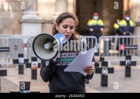 Barcelone, Espagne. 21 janvier 2021. Un activiste d'Anima Naturalis parle à travers un mégaphone pendant la manifestation.des activistes de l'organisation de défense de tous les animaux, AnimaNaturalis, ont organisé une manifestation sur la Plaza de Sant Jaume contre la cruauté animale des fermes qui fournissent l'industrie de la fourrure. Crédit : SOPA Images Limited/Alamy Live News Banque D'Images