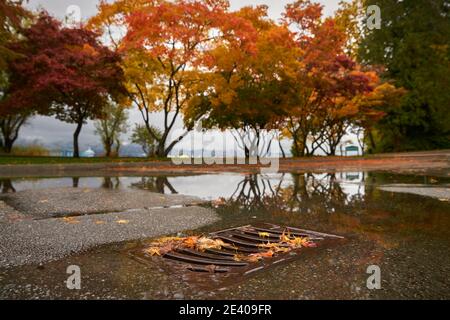 Drain de tempête en automne. De l'eau provenant de fortes pluies coule dans un drain de tempête en automne. Banque D'Images