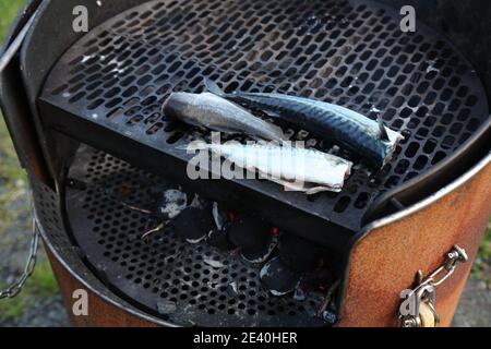 Norway Outdoor Dinner - cuisine de poisson au maquereau fraîchement pêché sur un barbecue. Banque D'Images