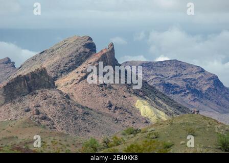 Magnifique paysage désertique du sud de l'Arizona. Nuages orageux en arrière-plan et feuillage vert du désert en premier plan. Banque D'Images