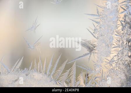 Motifs de gel sur le verre de la fenêtre d'hiver par temps froid. Textures créées par nature Banque D'Images