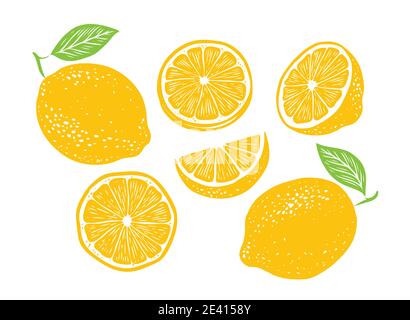 Fruits frais au citron, collection d'illustrations vectorielles Illustration de Vecteur