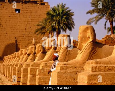 Afrique du Nord Égypte Temple de Louxor Avenue des Sphinx sphinx l'homme égyptien se tenait devant des sculptures en pierre de sphinx en rangées Banque D'Images