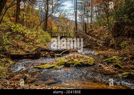 Une randonnée d'automne le long de la piste de Fallingwater Creek traverse Fallingwater Creek sur Flat Top Mountain près de Blue Ridge Parkway en Virginie. Banque D'Images