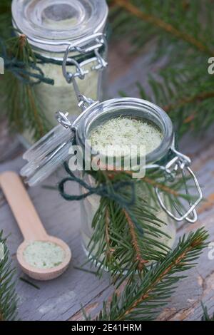 Épinette de Norvège (Picea abies), sel d'épinette auto-fabriqué, Allemagne Banque D'Images