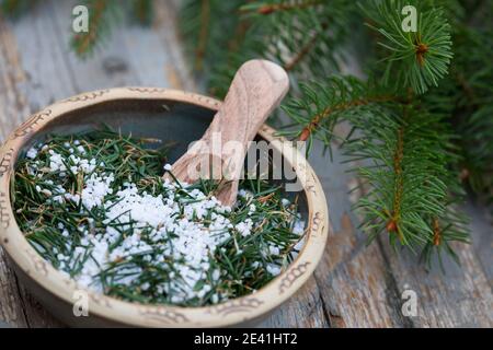 Épinette de Norvège (Picea abies), sel d'épinette auto-fabriqué, Allemagne Banque D'Images