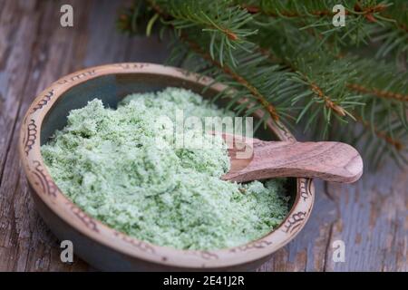 Épinette de Norvège (Picea abies), sel d'épinette auto-fabriqué, Allemagne Banque D'Images