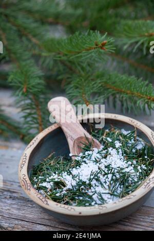 Épinette de Norvège (Picea abies), sel d'épinette auto-fabriqué, Allemagne Banque D'Images