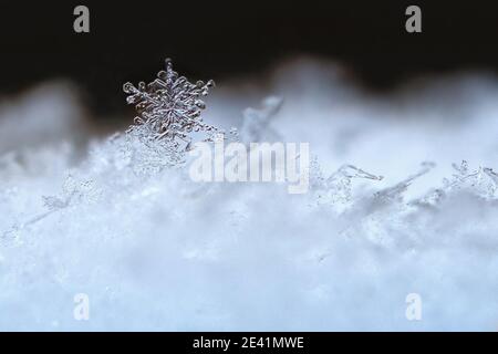 Les flocons de neige sur la photo, du vrai flocons durant une chute de neige, dans des conditions naturelles à basse température Banque D'Images