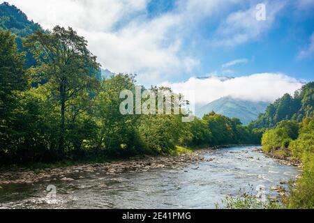 paysage de montagne en été. magnifique paysage de nature le matin brumeux. nuages qui se baladent sur la colline lointaine. arbres le long du ruisseau dans le val Banque D'Images