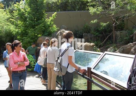 Zoo Washington États-Unis regarder les animaux parc enclos personnes touristes tour enfants famille animal ours sac chemise rose fille dans les lunettes de soleil et chemise de thé montre Banque D'Images