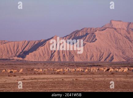 Landschaft Banque D'Images