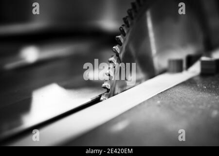 Disque de scie à table circulaire à dents en carbure, gros plan en noir et blanc avec mise au point sélective Banque D'Images