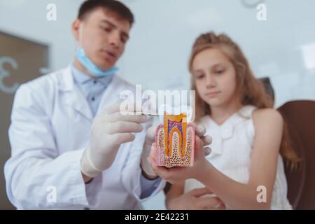 Enfants, soins de santé, concept dentaire. Jeune belle fille visitant le dentiste. Dentiste professionnel expliquant les soins dentaires sur un modèle de dent, parlant Banque D'Images