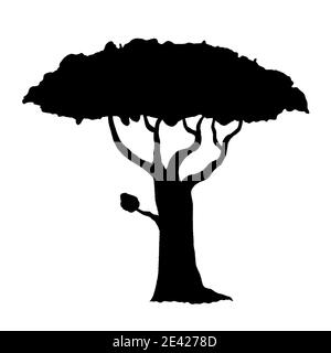 Vecteur de silhouette d'arbre. Acacia isolée dessinée à la main. Illustration de Vecteur
