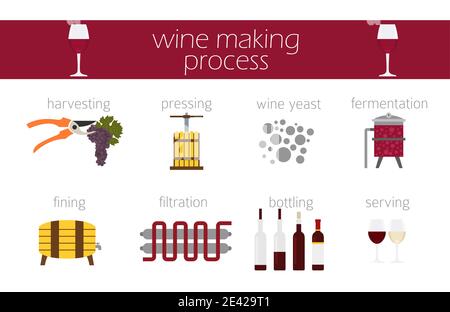 Variétés de raisins pour le vin. Infographie sur la vinification. Illustration vectorielle Illustration de Vecteur