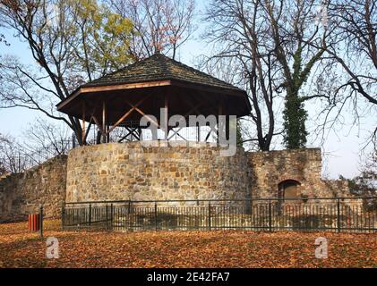 Ruines du château de Piast à Cieszyn. Pologne Banque D'Images