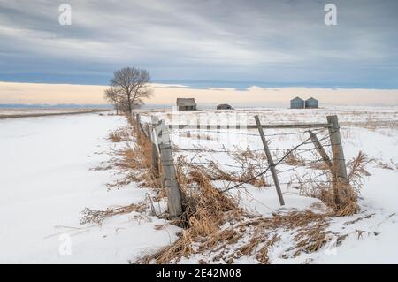 Ferme abandonnée dans la prairie près de Blackie, Alberta, Canada Banque D'Images